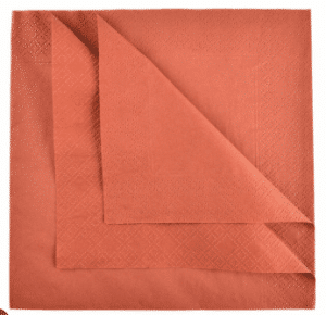40cm 2Ply Napkin - Terracotta (2000)