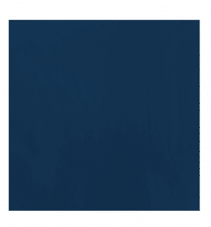33cm 2Ply Napkin - Navy Blue (2000)
